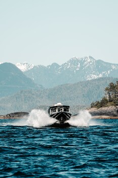 tofino