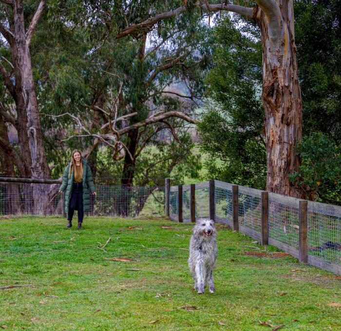 forrest holiday park