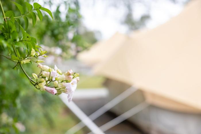 coonamble riverside holiday park