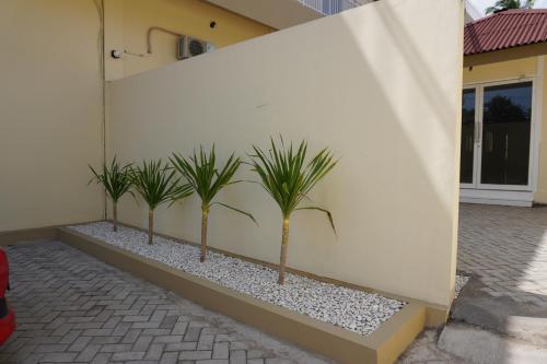 luansa klui hotel