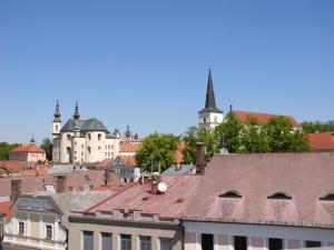 litomysl