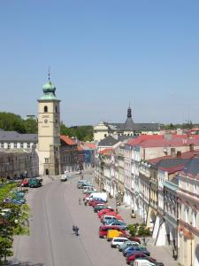 litomysl