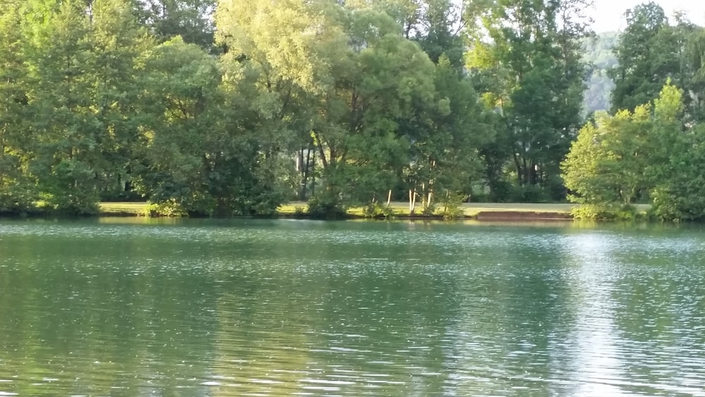 hotel pension haus hubertus