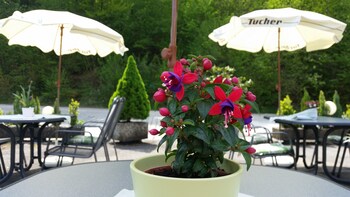 hotel pension haus hubertus