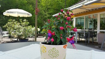 hotel pension haus hubertus