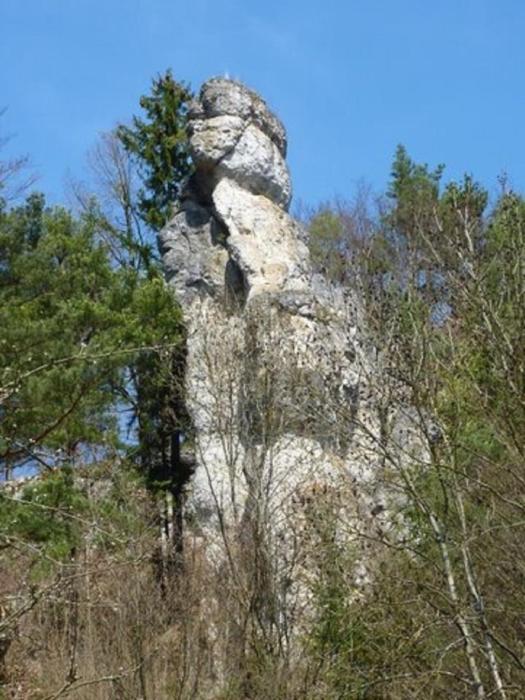 weigendorf