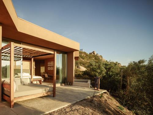 banyan tree veya valle de guadalupe