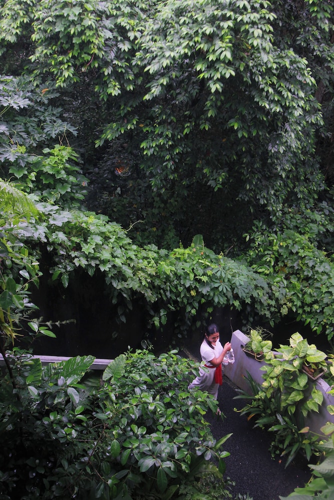 sari gong guest house