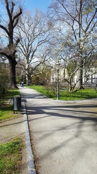 zittau