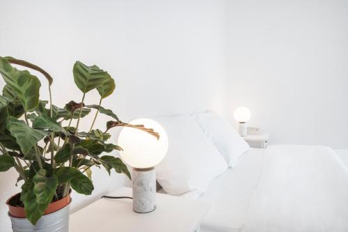 olala comfy apartment