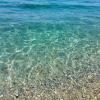 tropea