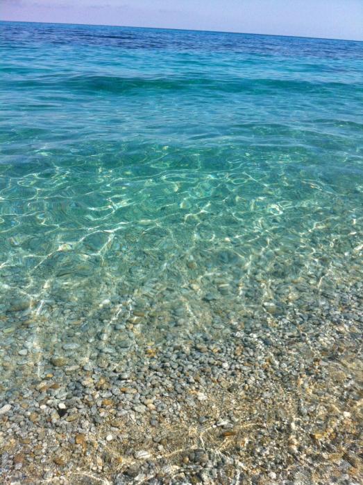 tropea