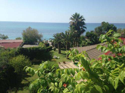 tropea