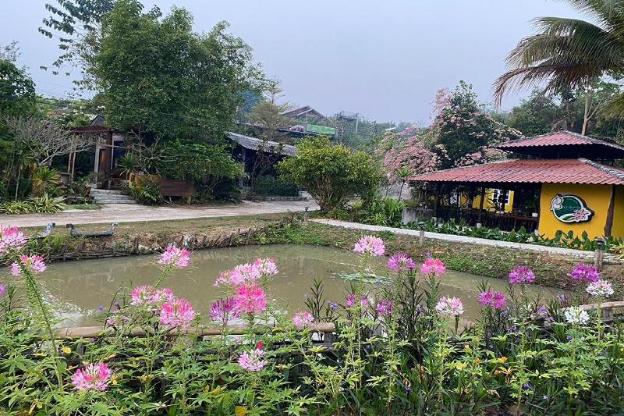chiang dao