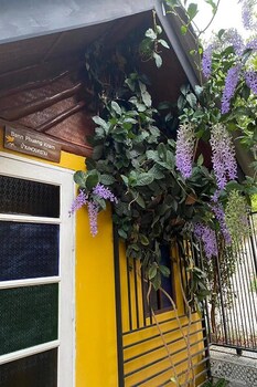 chiang dao