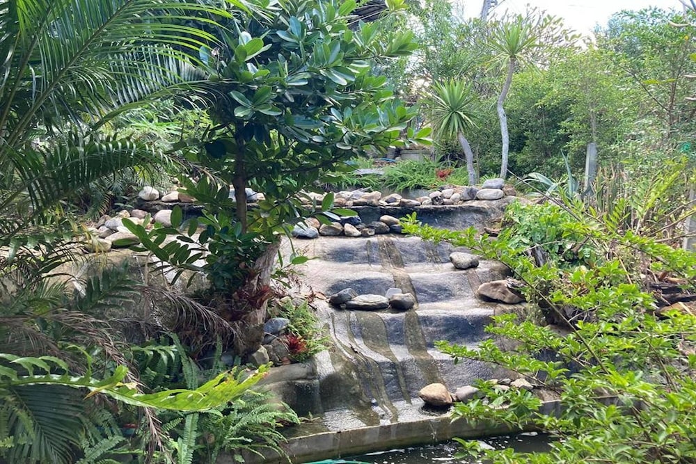 chiang dao