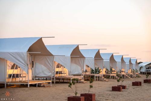 zostel sam desert jaisalmer