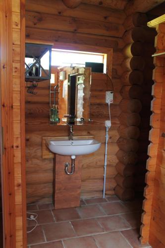 oldenburg in holstein