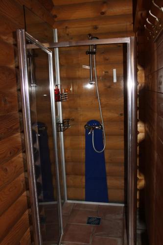 oldenburg in holstein