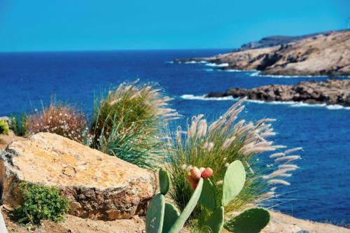 semeli coast mykonos curio collection by hilton