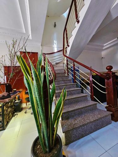 frontier hostel and tours