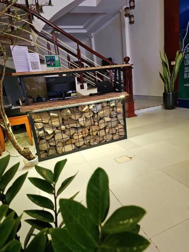 frontier hostel and tours