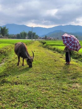 frontier hostel and tours