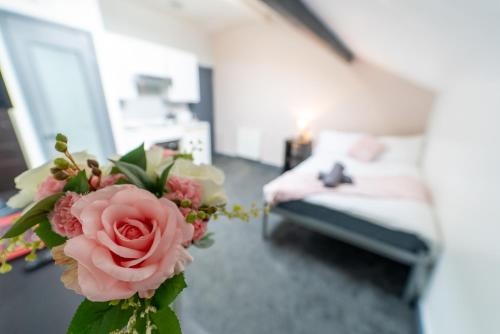 remarkable 1 bed studio in birmingham