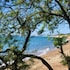 hyeres