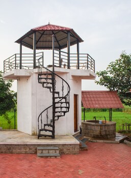 wildcat tadoba resort