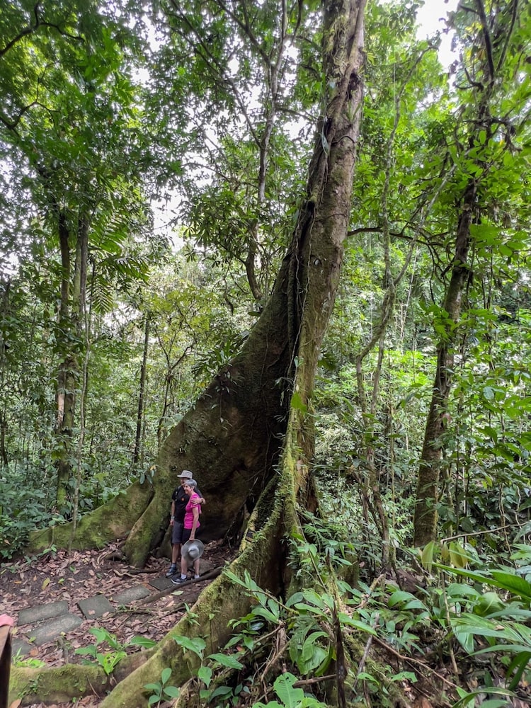 veragua rainforest lodge