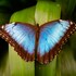 veragua rainforest lodge