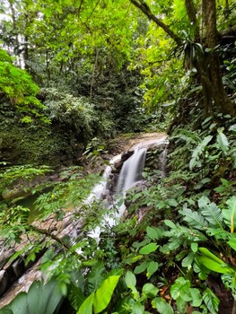 veragua rainforest lodge