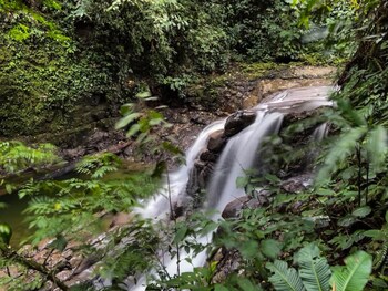 veragua rainforest lodge