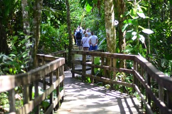 rio blanco
