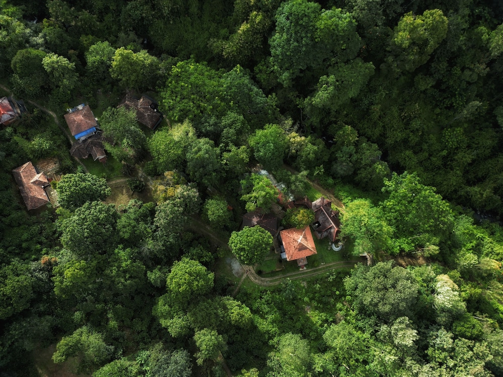 mahout resort