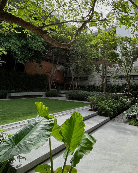 maison hotel bangkok