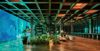 maxx royal bodrum