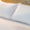 bandb hotel massieux genay