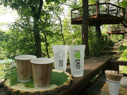 apartma sungarden liberec