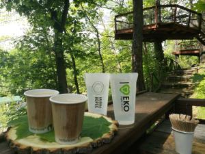 apartma sungarden liberec