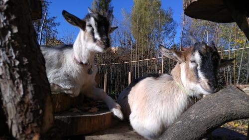 apartma sungarden liberec