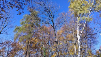 Apartma Sungarden Liberec,Liberec Region>>Liberec,3 star