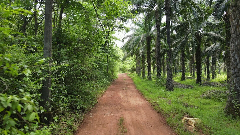 indira farms