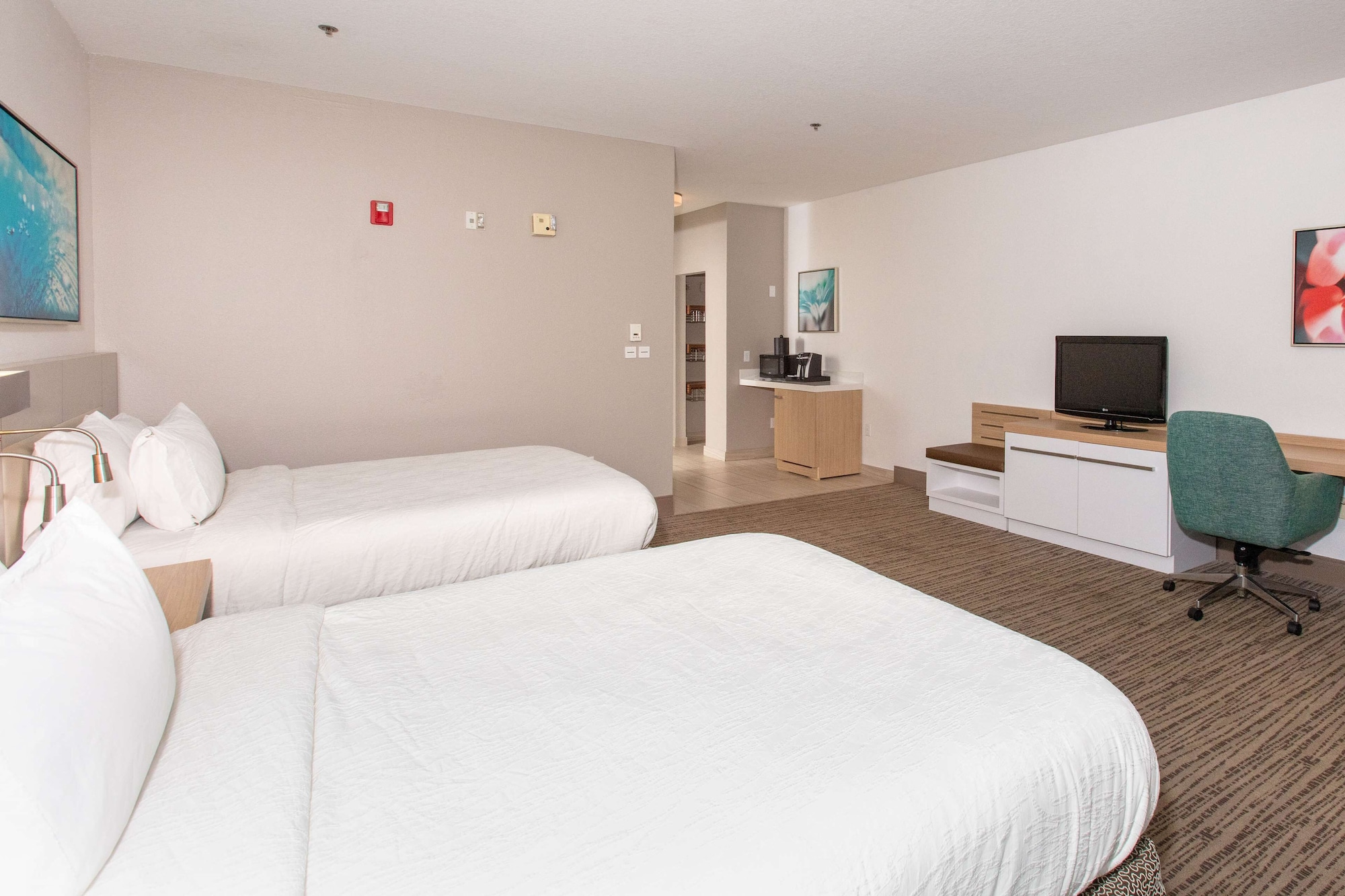 hilton garden inn jacksonville airport