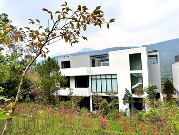 tam dao