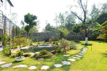 tam dao