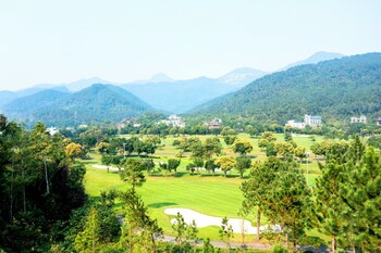 tico villa tam dao