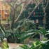 da lat