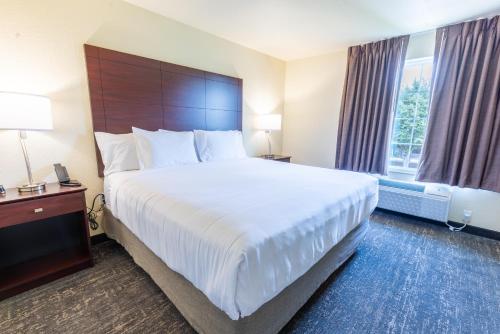 cobblestone inn and suites winters
